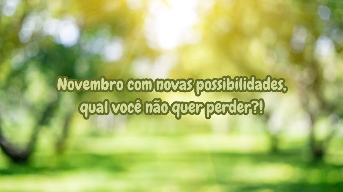 frases bem vindo novembro