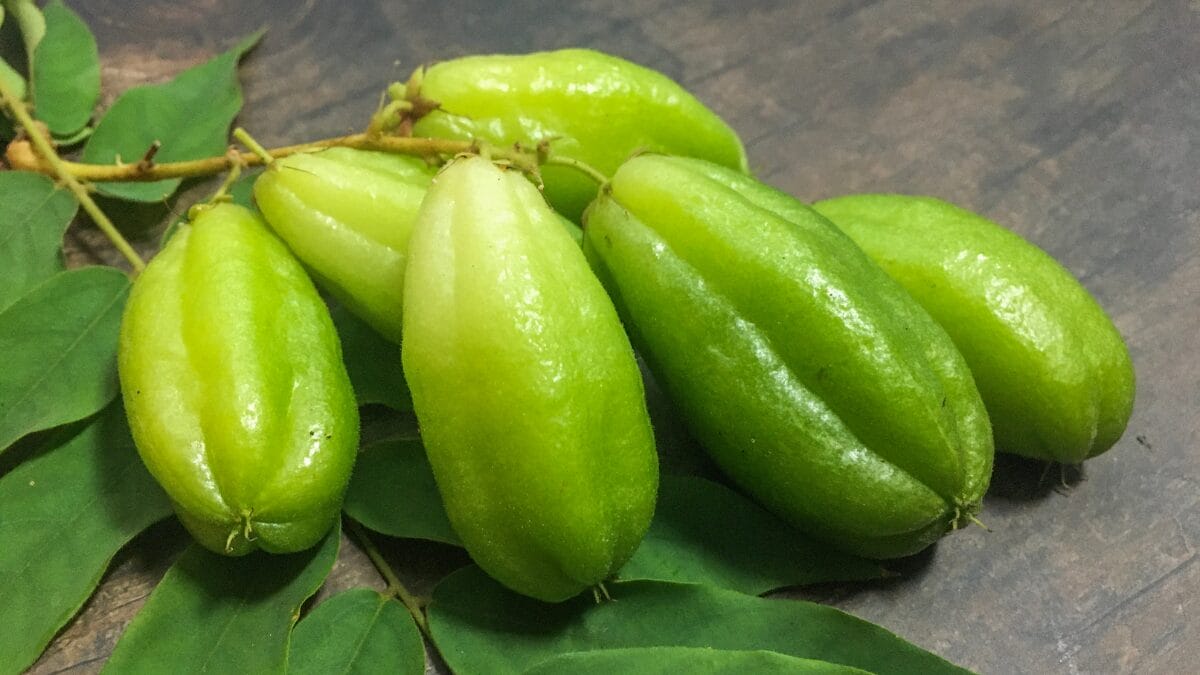 Bilimbi