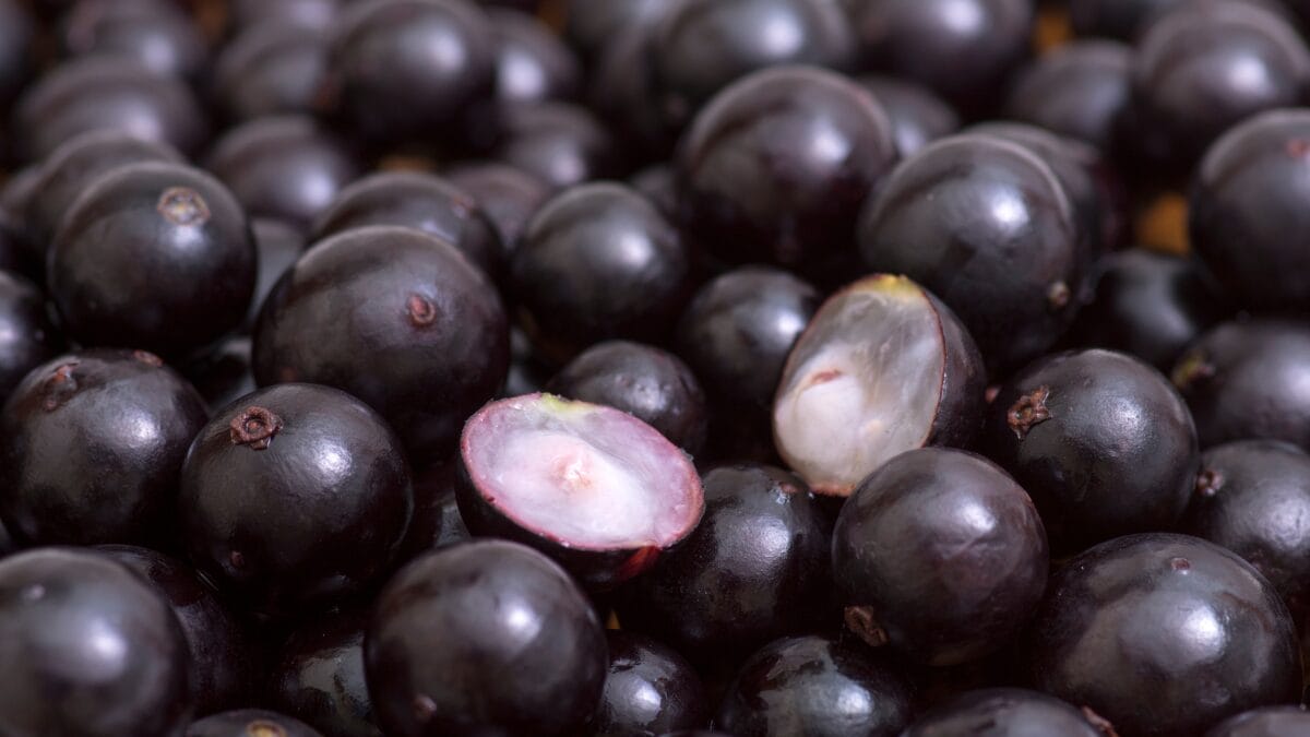 Como aproveitar os benefícios da casca de jabuticaba