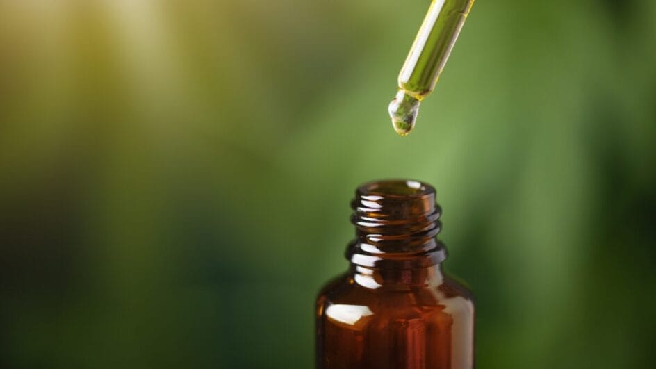 SC lança cartilha inédita sobre uso medicinal da Cannabis no SUS