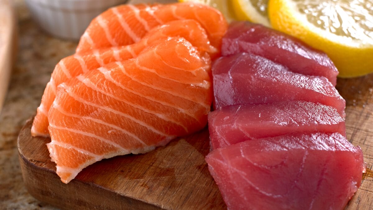 Salmão ou atum A ciência responde qual é melhor para perder peso e ganhar energia