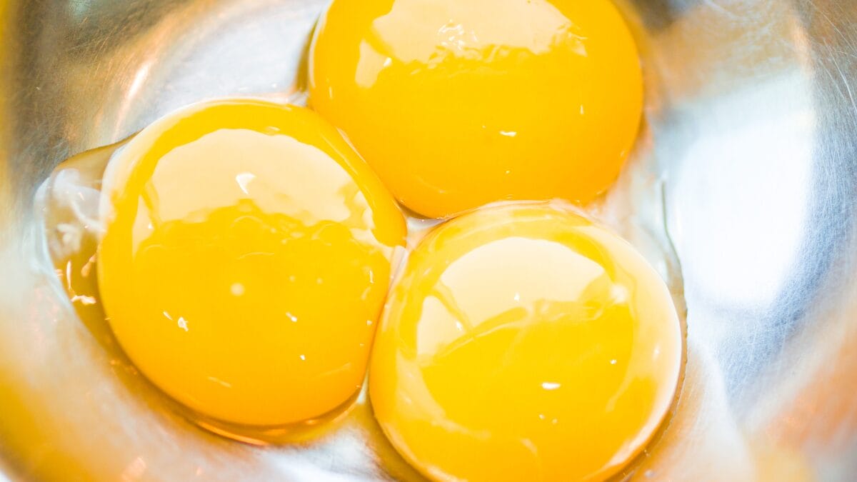 _alimentos para a visão