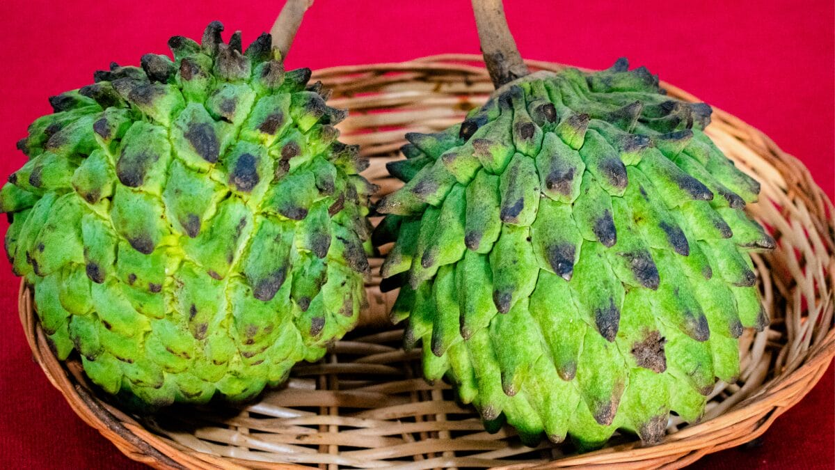 atemoia