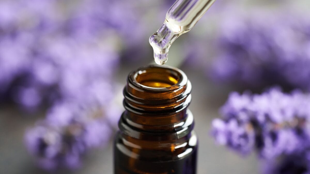 benefícios óleo de lavanda