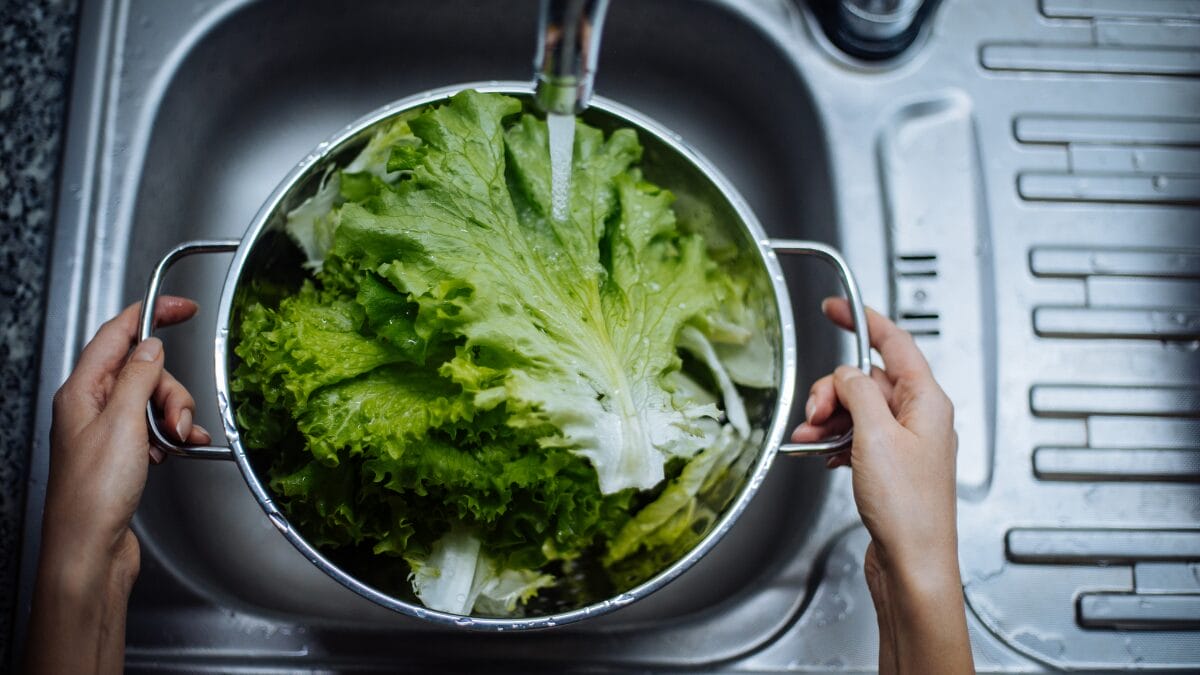 como higienizar alface