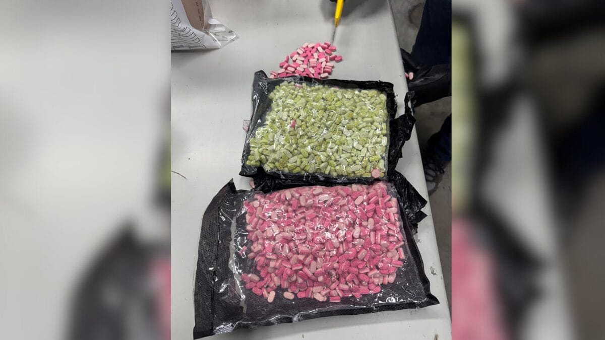 Dois mil comprimidos foram encontrados (Foto: Receita Federal, Divulgação)