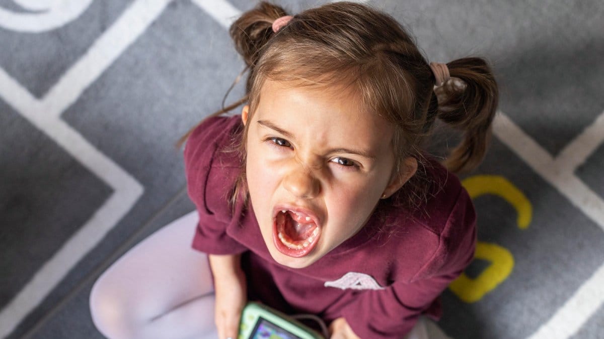 A ciência revela por que o contexto familiar e socioeconômico importa mais que a ausência de irmãos no desenvolvimento infantil. (Foto: banco de imagem)