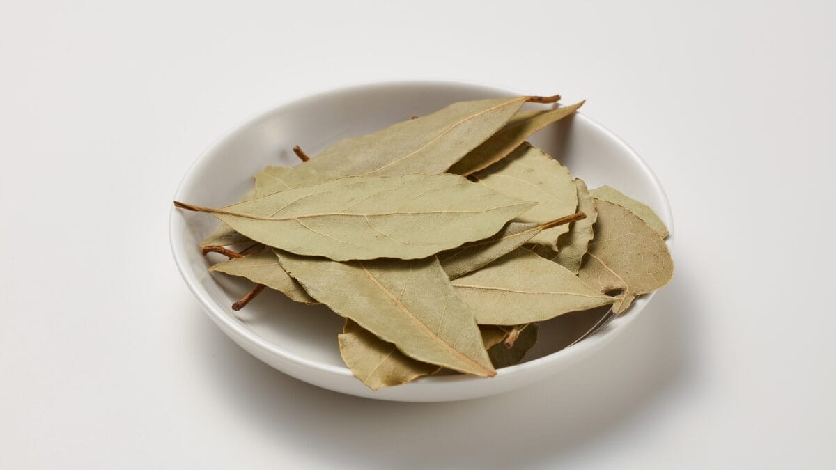 folha de louro no arroz