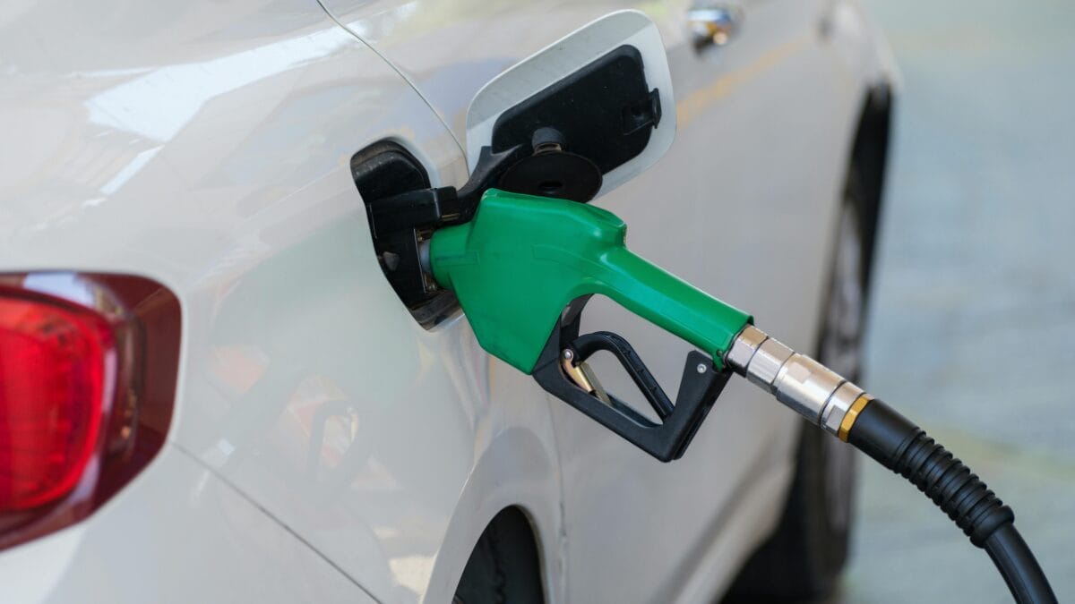 gasolina