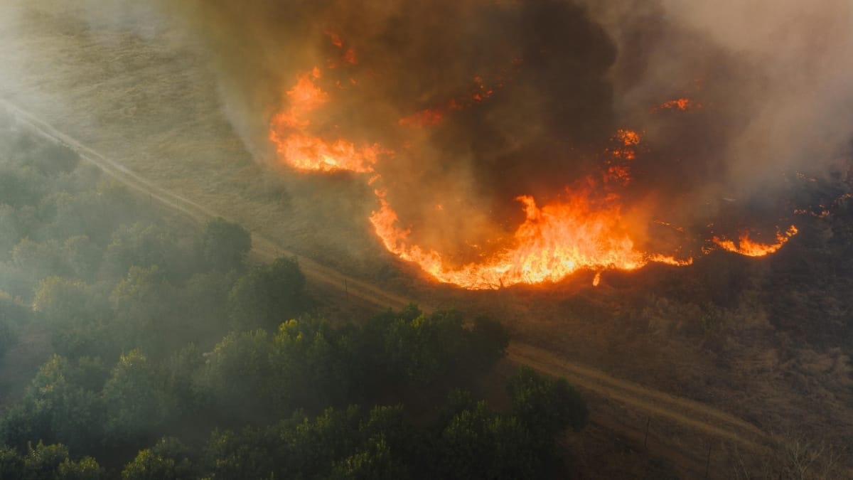 incendio florestal