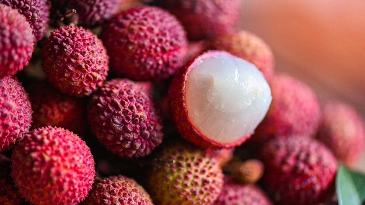 lichia