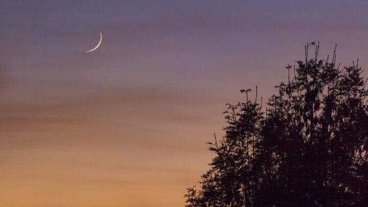 Semana da Lua Crescente favorece novos começos e intenções ousadas