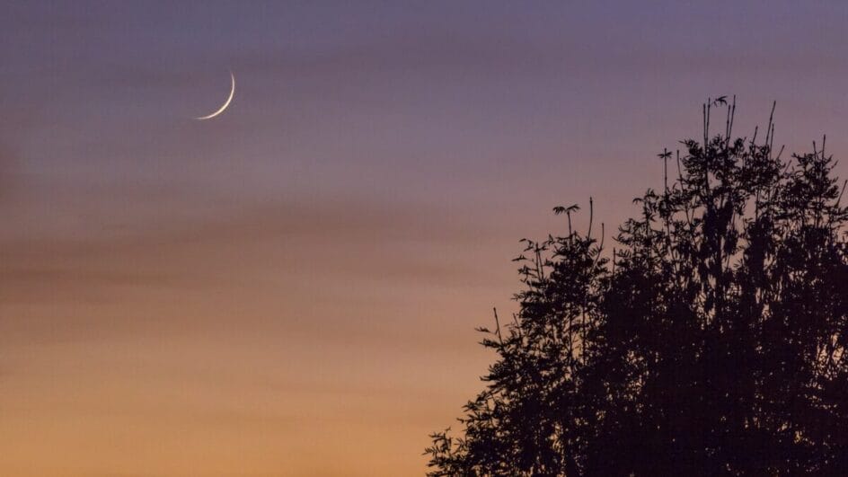 Semana da Lua Crescente favorece novos começos e intenções ousadas