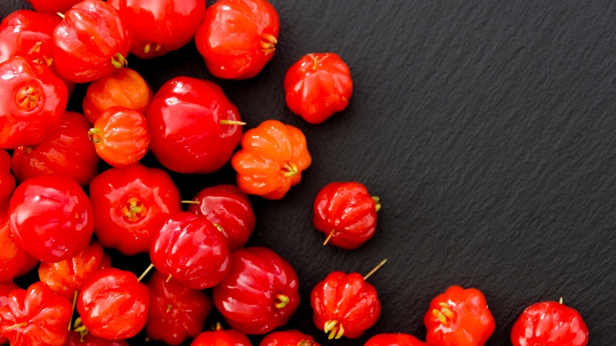 A pitanga é uma fruta tropical brasileira de sabor agridoce que conquista facilmente quem a prova 