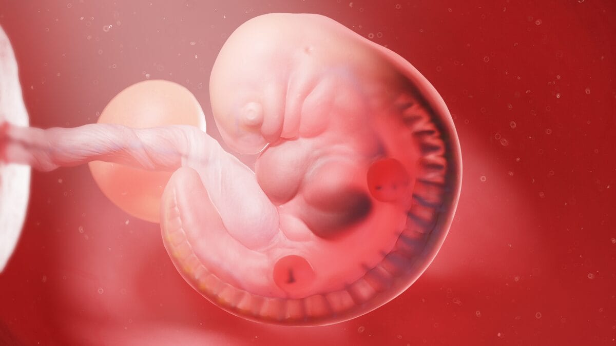Bebê nasce do embrião mais velho do mundo (Foto: Imagem Ilustrativa, Canva, Reprodução)