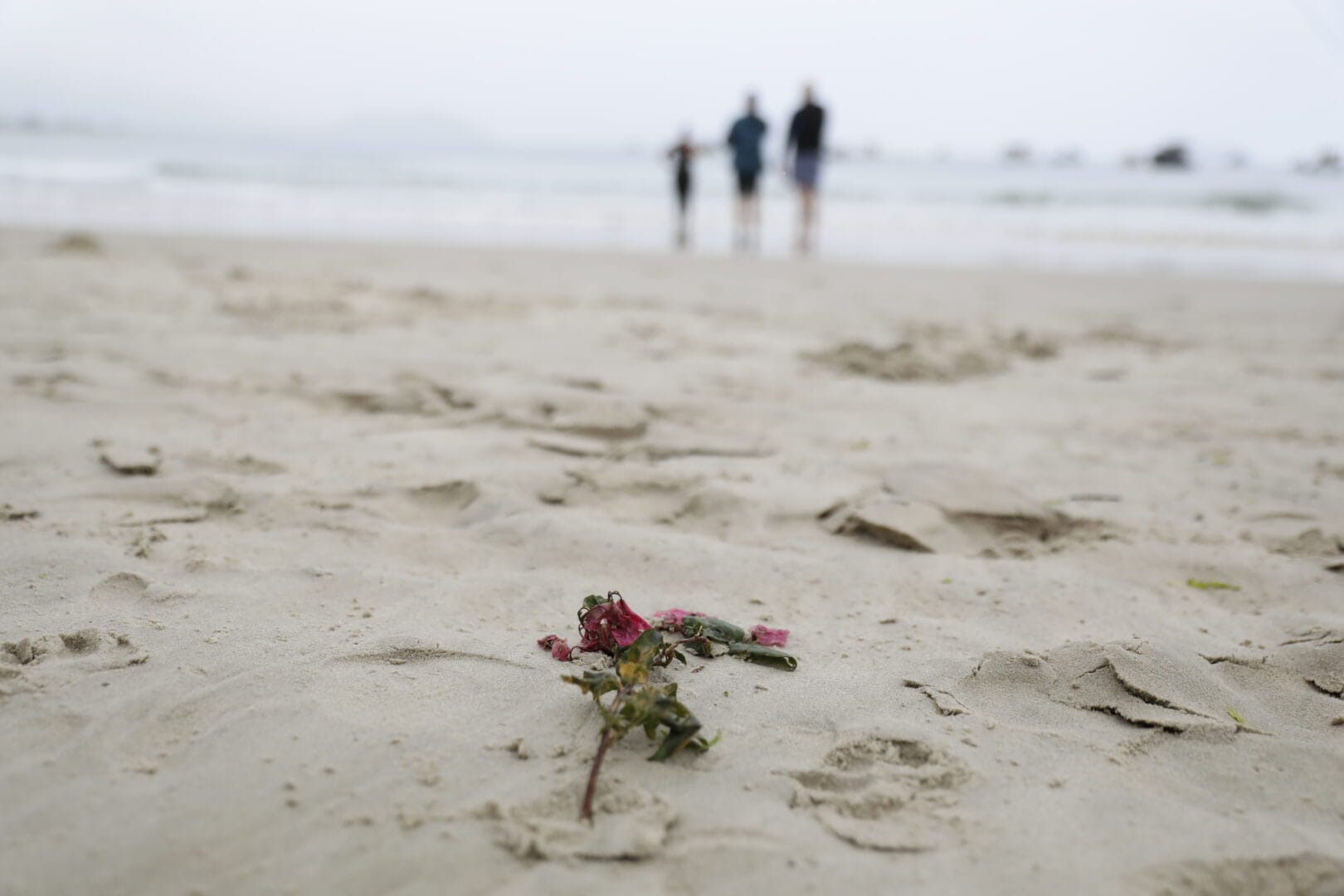 Colegas de nata&ccedil;&atilde;o de Catarina Kasten se re&uacute;nem na Praia da Arma&ccedil;&atilde;o