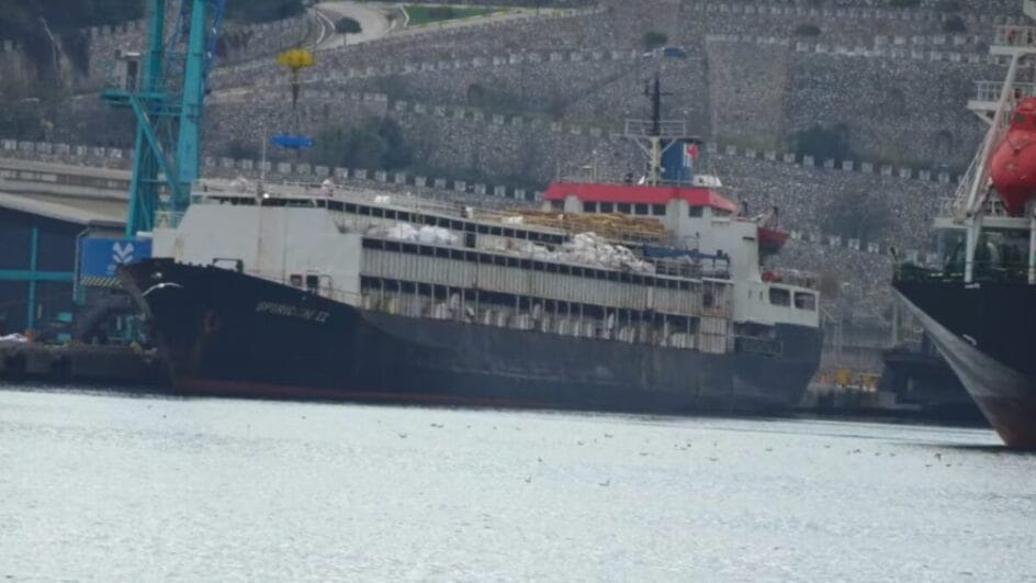 Navio Spiridon II atracado no mar da Turquia com 2900 vacas