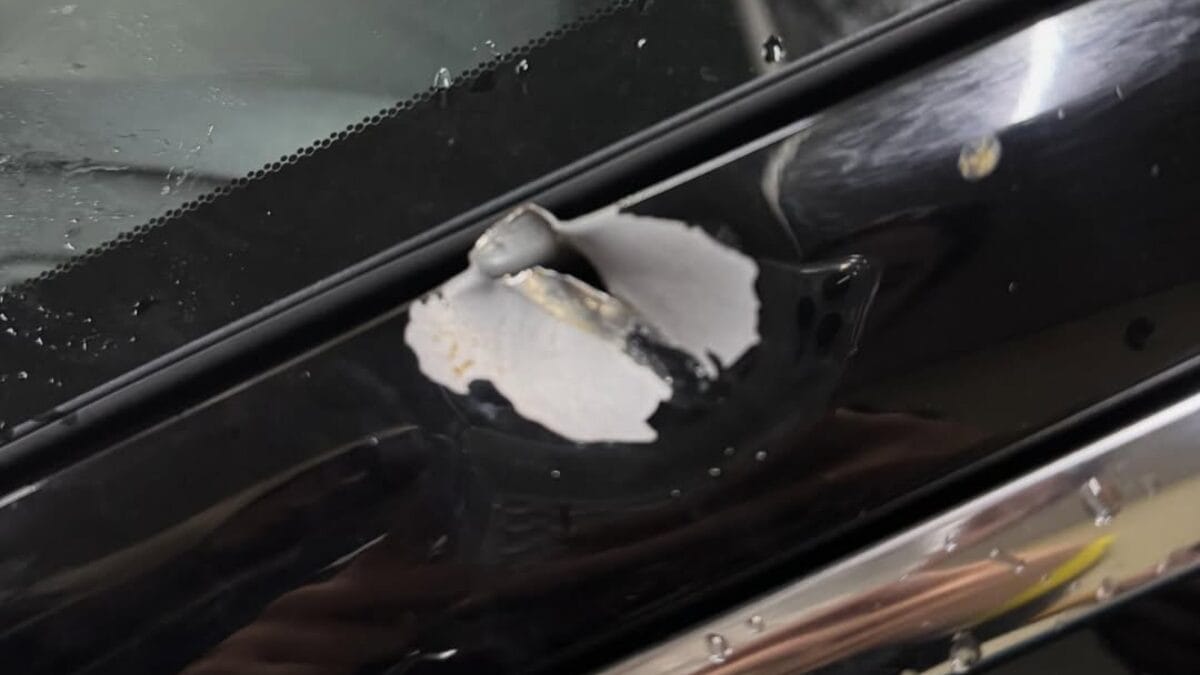 Lataria do carro em que Júlia e seu pai estavam ficou danificada