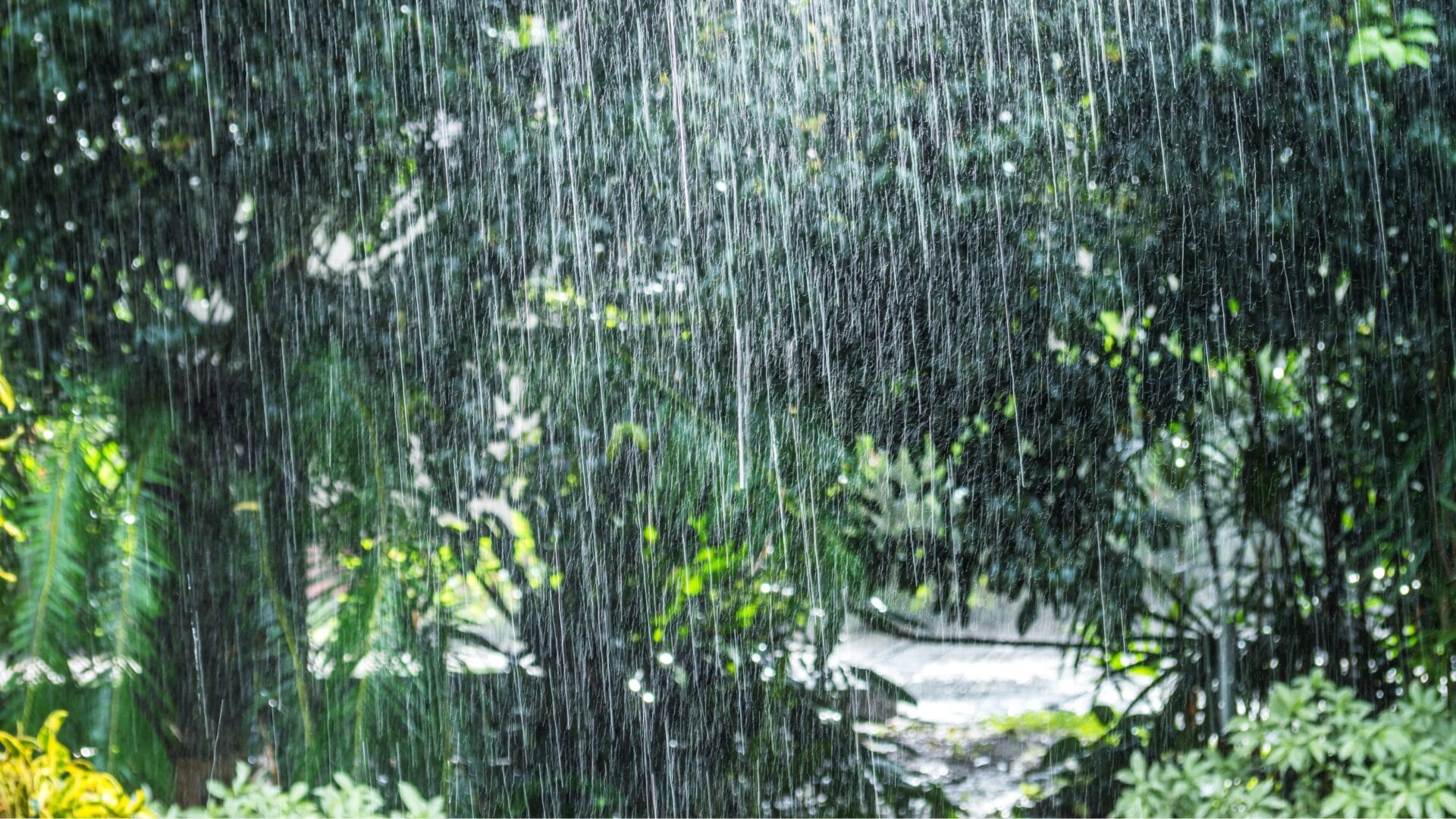chuva