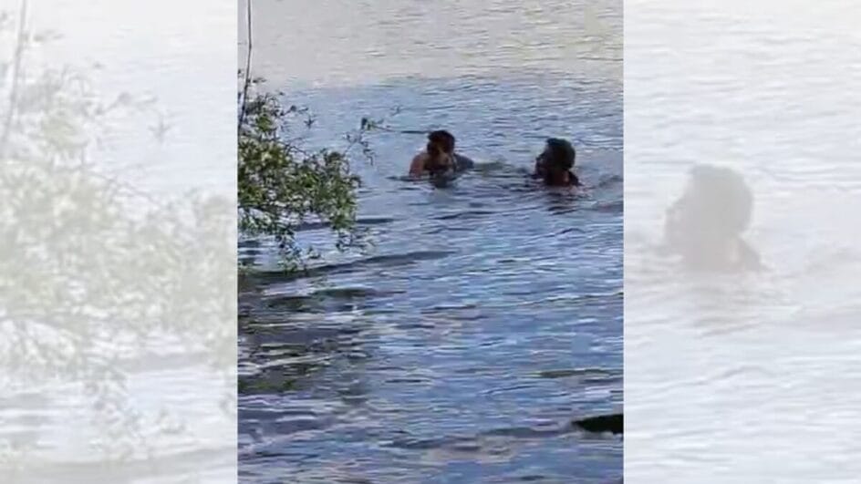 Menino com autismo cai em rio e se agarra a galhos de árvore até ser resgatado no Oeste de SC