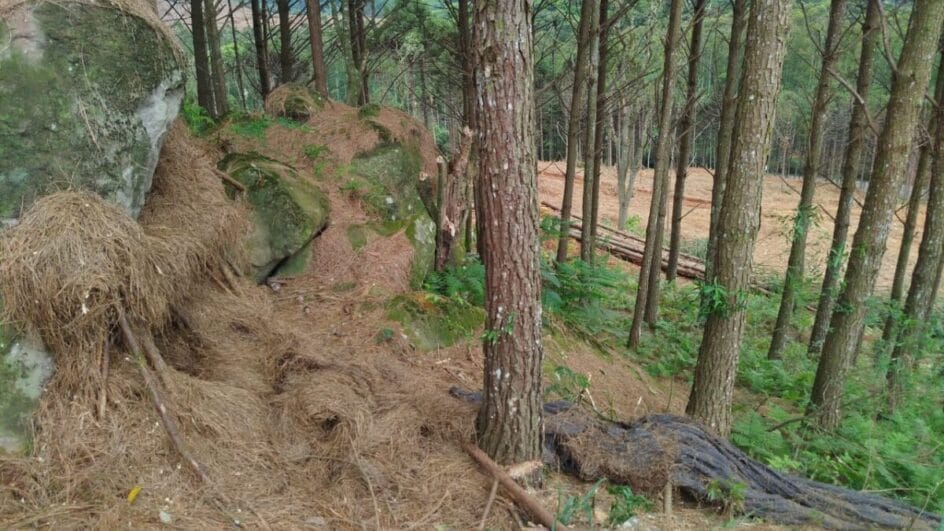 Cadáver é encontrado por trabalhadores