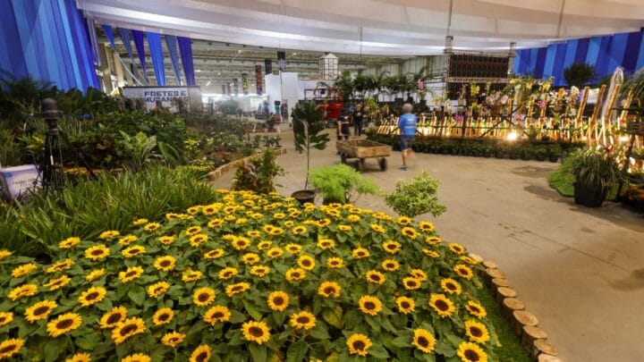 85ª Festa das Flores de Joinville (SC)