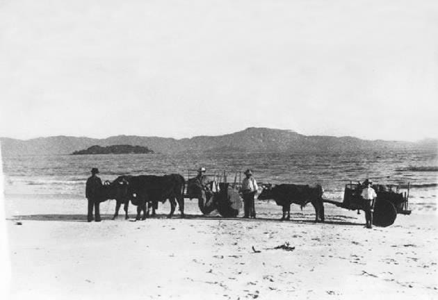 Praia de Canasvieiras em 1944