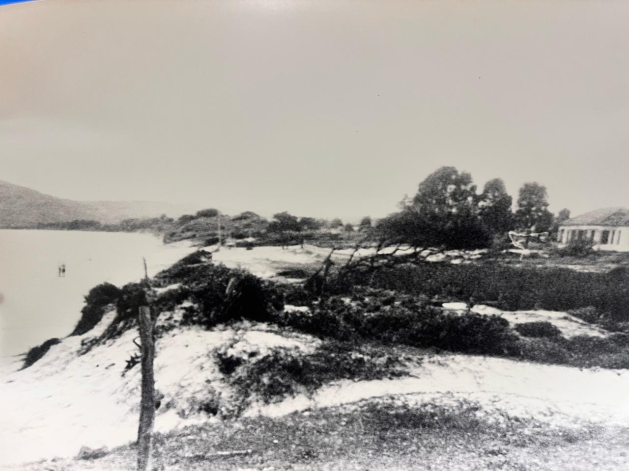 Fotos mostram como era região de Canasvieiras no início da década de 1970