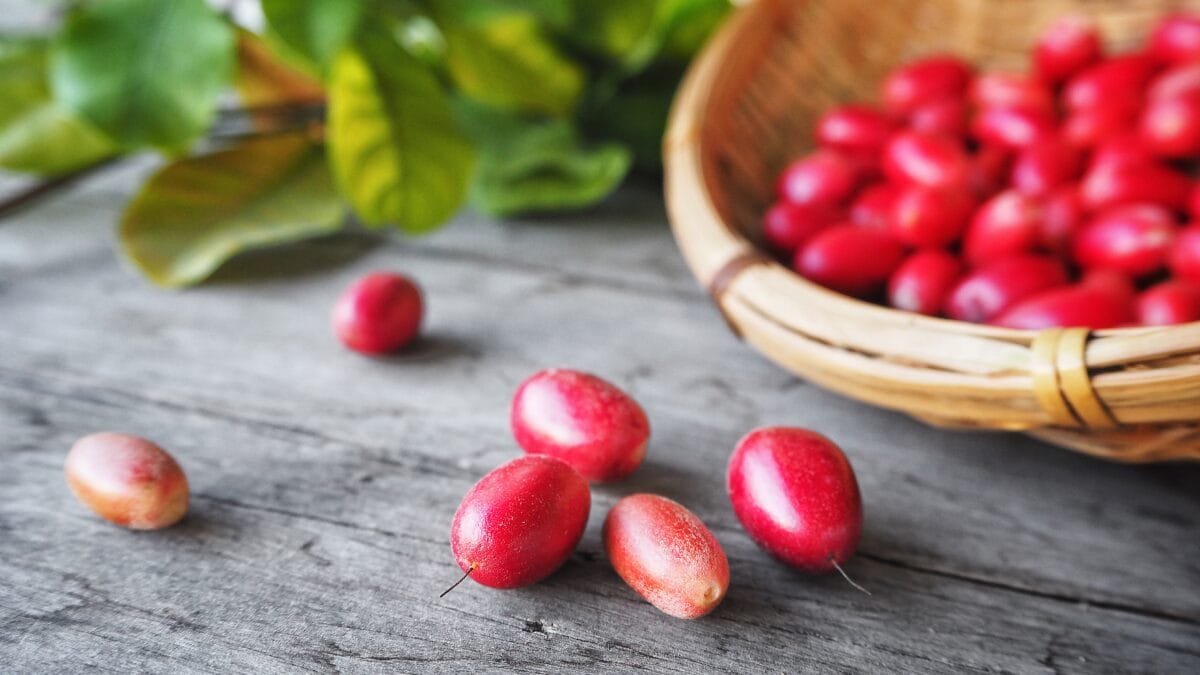 Fruta-do-milagre é uma fruta que muda o paladar e faz o azedo ficar doce