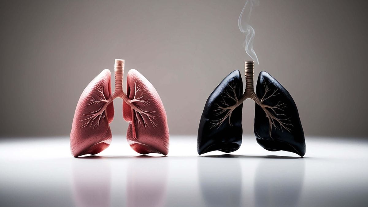Fumar apenas 2 cigarros por dia aumenta o risco de morte prematura em 60%