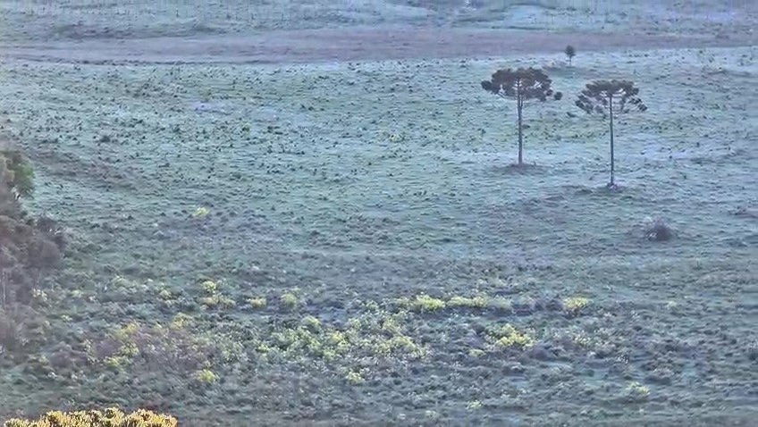 Geada no Vale dos Caminhos da Neve em São Joaquim no dia 25 de novembro de 2025