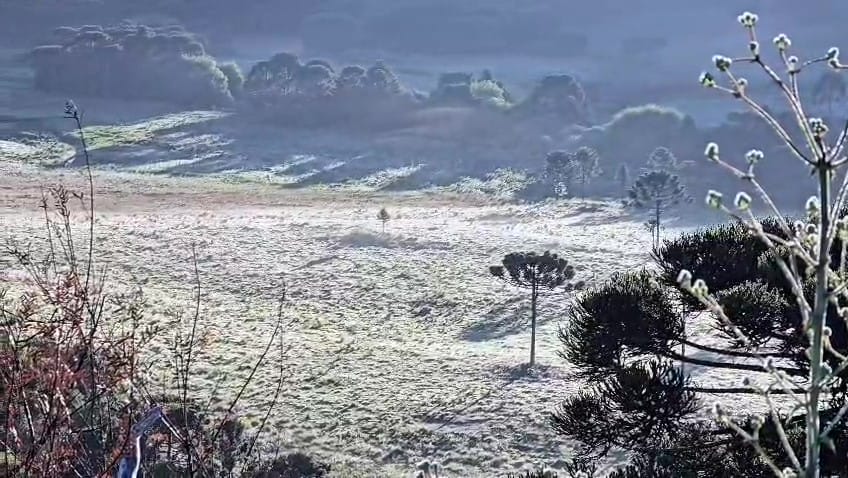 Geada no Vale dos Caminhos da Neve em São Joaquim no dia 25 de novembro de 2025