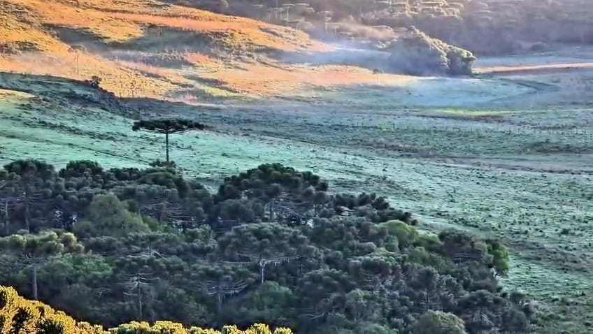 Geada no Vale dos Caminhos da Neve em São Joaquim no dia 25 de novembro de 2025