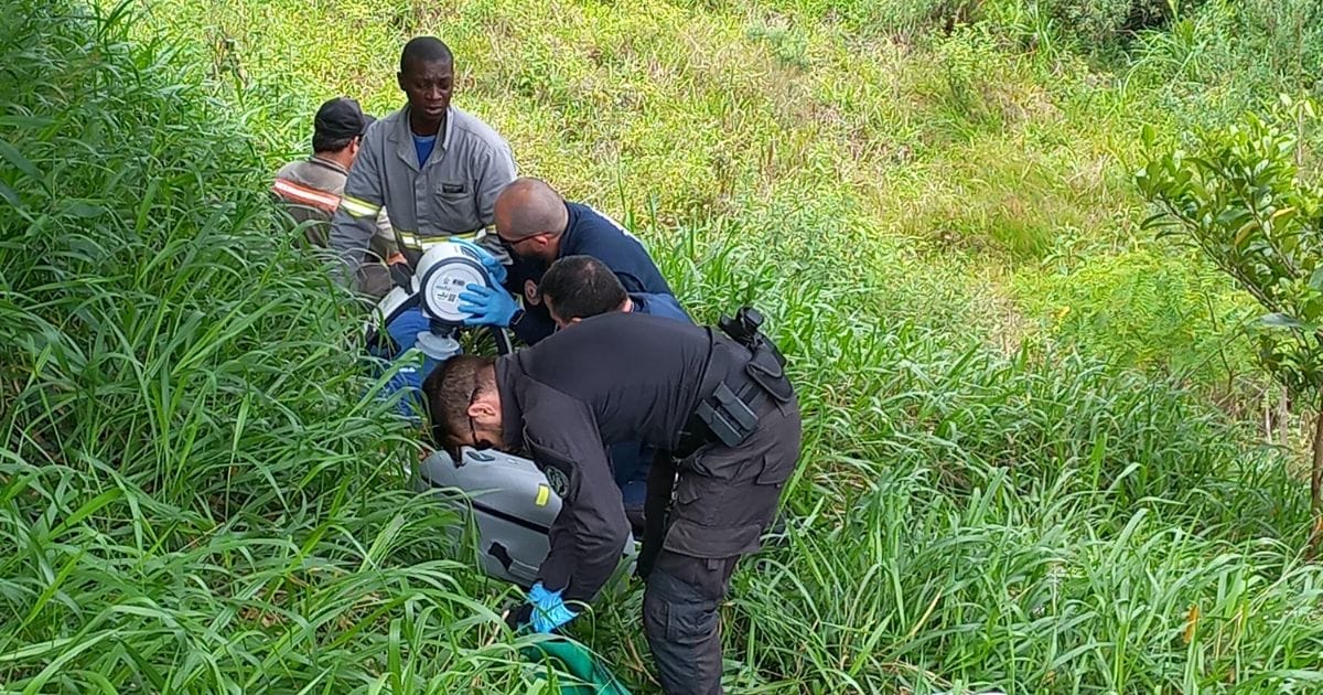 Trabalhador morre ap&oacute;s picada de inseto em Treviso