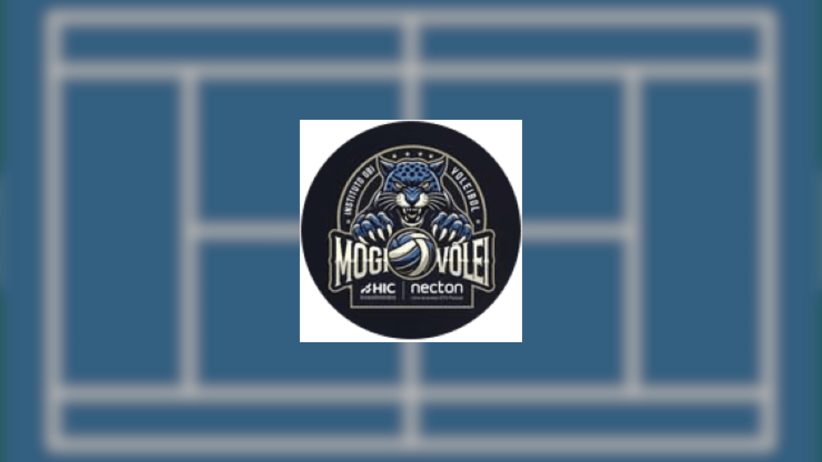 Equipes da Superliga Masculina B 2025/26