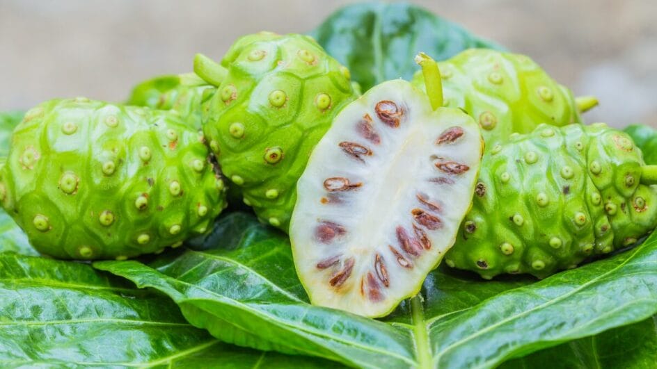 O Noni emagrece? O resultado pode ser um dano grave ao fígado