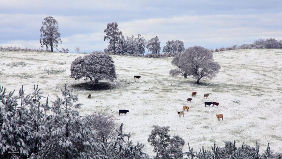 SC é o estado mais frio do Brasil dos últimos 40 anos, com temperatura média de 17,7ºC