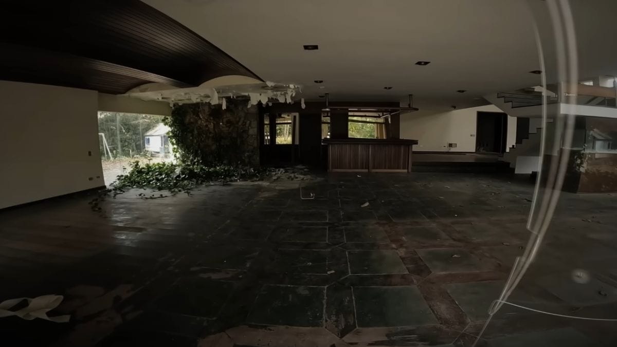 Teto desabou e plantas tomam conta 