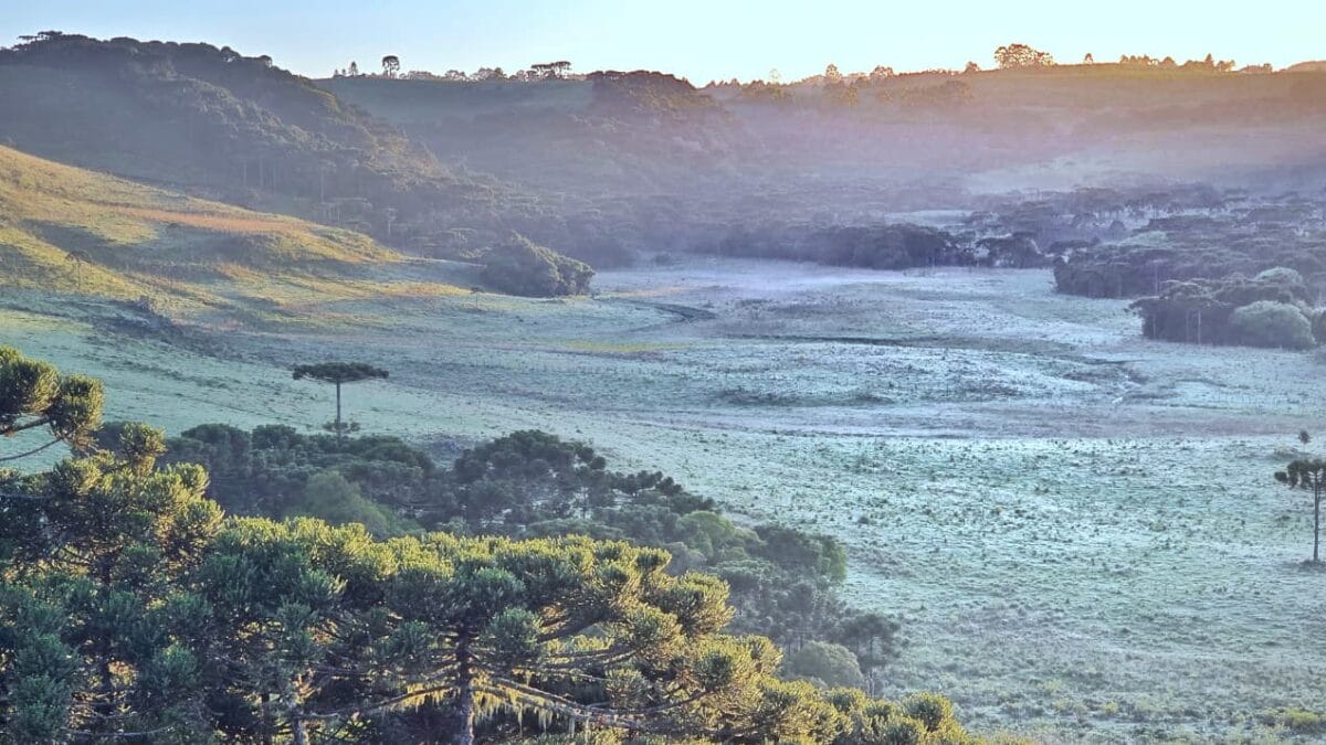 Paisagem de campo coberto de gelo. Foto de São Joaquim.
