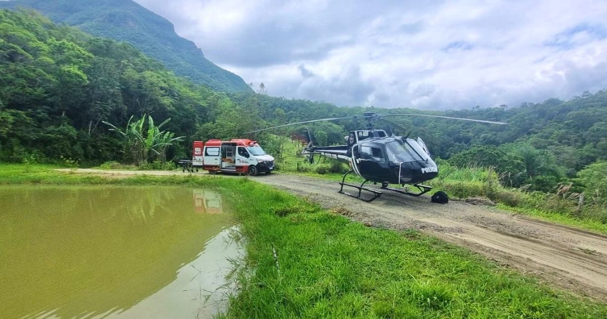 Trabalhador morre ap&oacute;s picada de inseto em Treviso