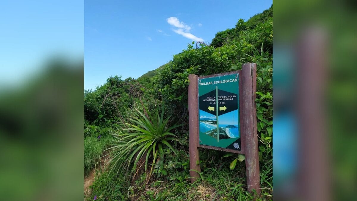 Trilha do Morro das Aranhas (Foto: @trilhasemsc, Reprodução)