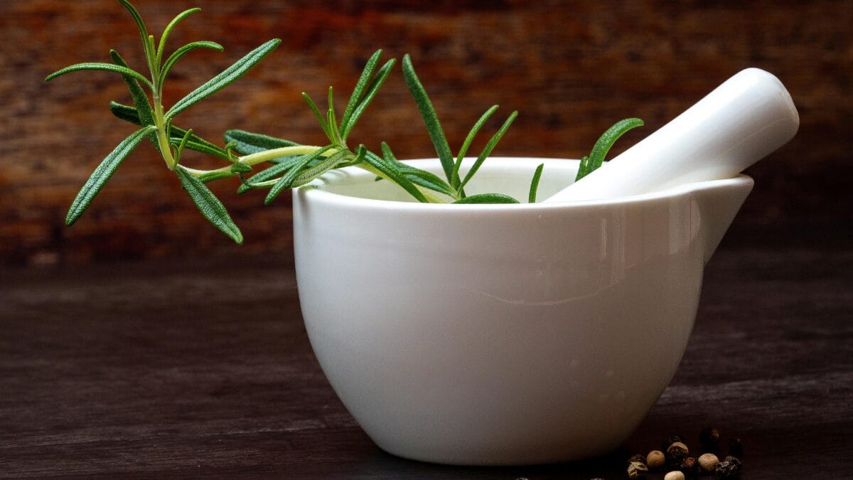 É importante trocar o conteúdo do frasco a cada 30 ou 45 dias