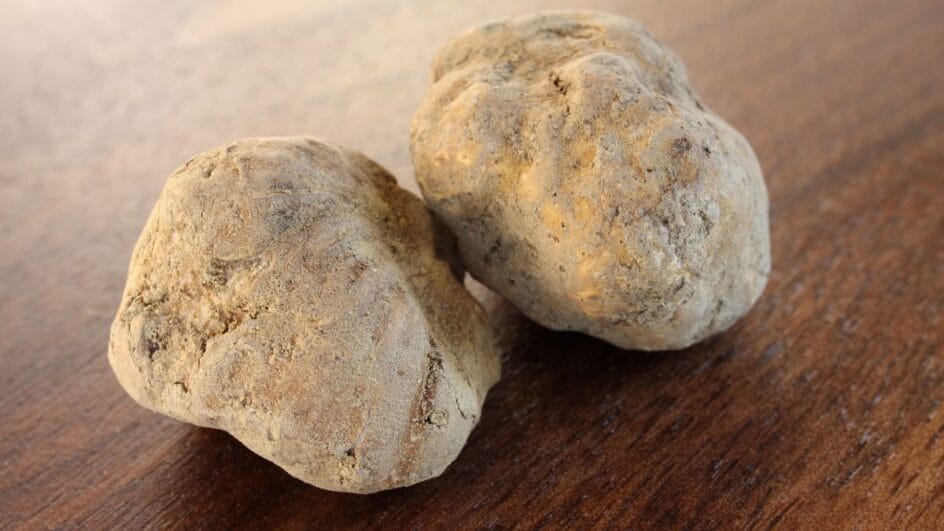 O diamante da cozinha: Por que a trufa branca custa tão caro e onde provar no Brasil?