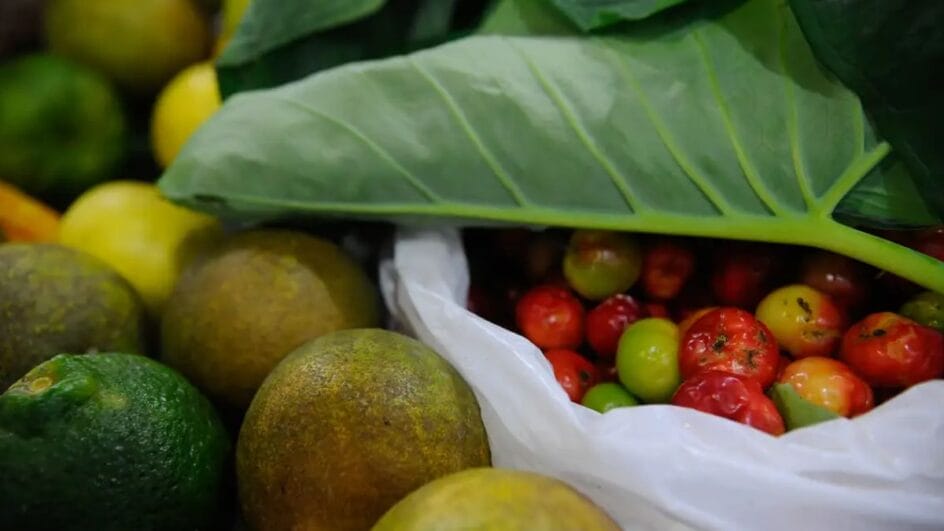 Políticas para segurança alimentar foram detalhadas em levantamento do IBGE (Foto: Fernando Frazão, Agência Brasil, Arquivo)