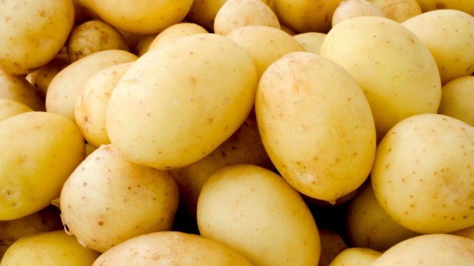 várias batatas inglesas