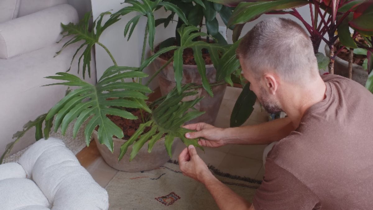 casa de fernanda lima e rodrigo hilbert