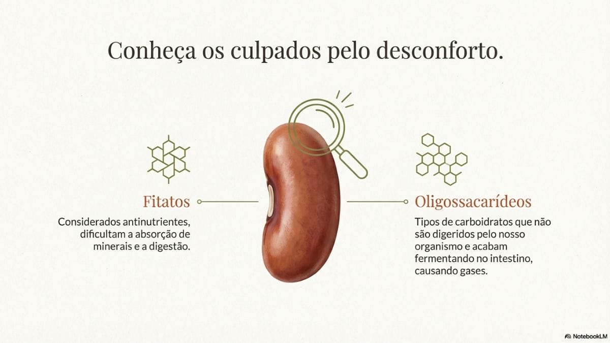 como preparar o feij&atilde;o para comer com arroz e n&atilde;o ter estufamento