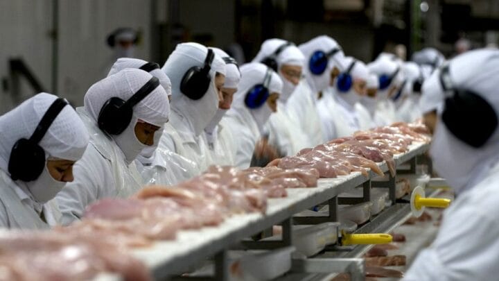 Exportações de carnes de SC bateram recorde entre janeiro e outubro, segundo dados da Epagri/Cepa (Foto: Eduardo Marques, Divulgação, Arquivo NSC)