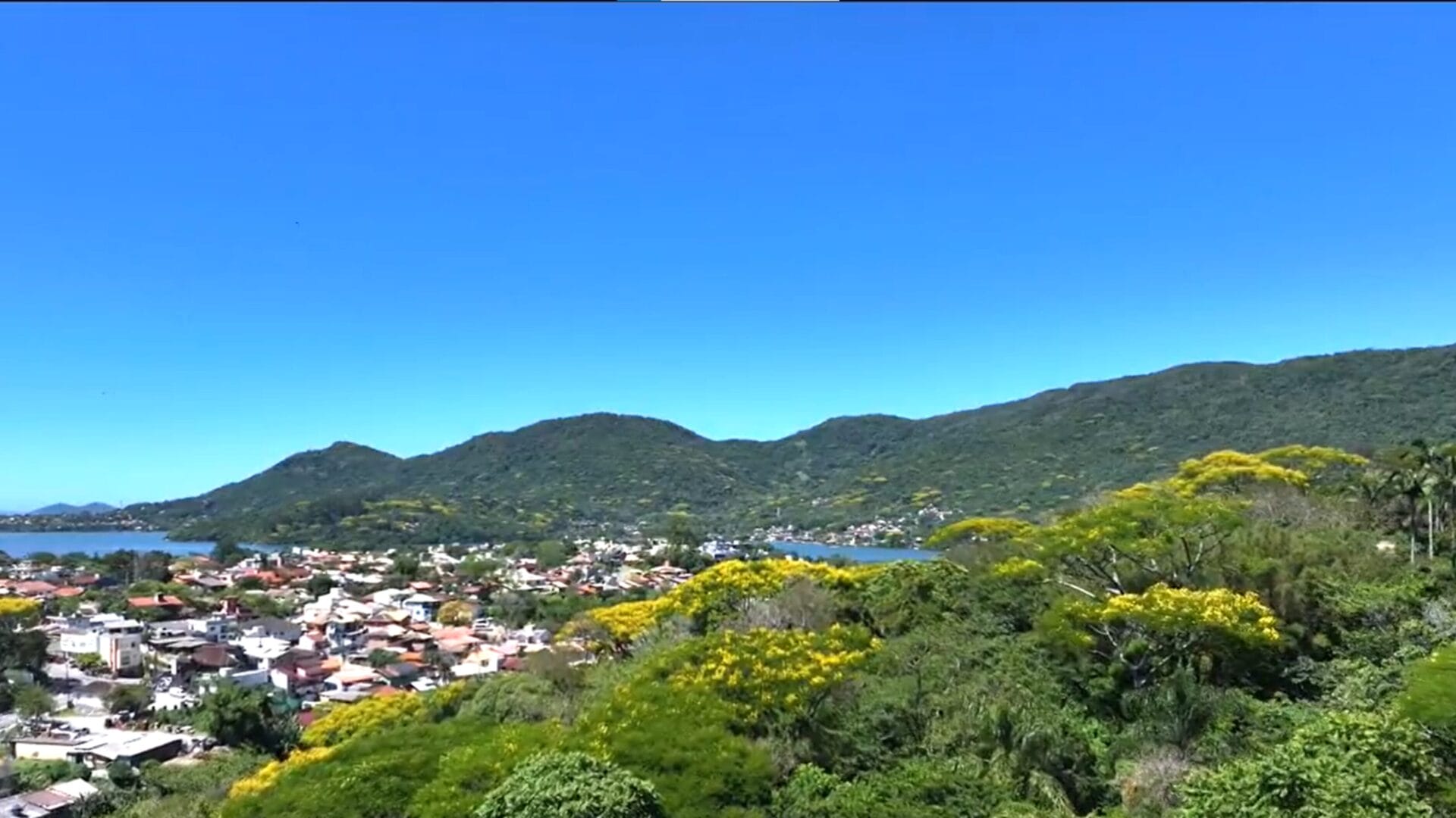 floresta