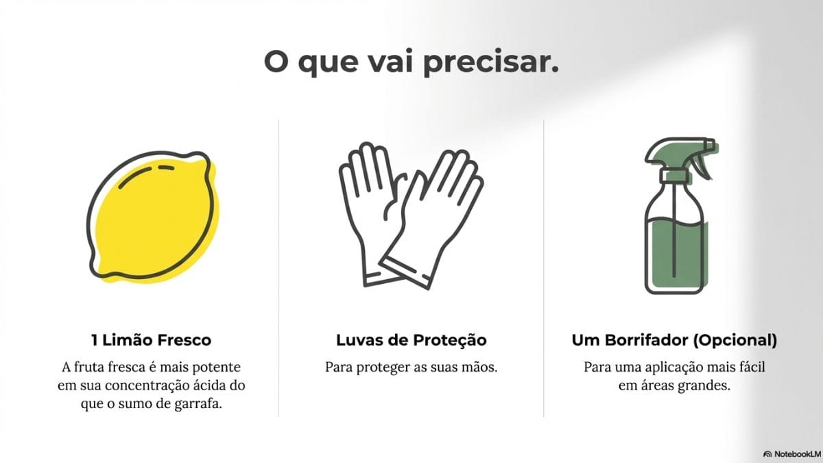 guia visual limpar vaso sanitário